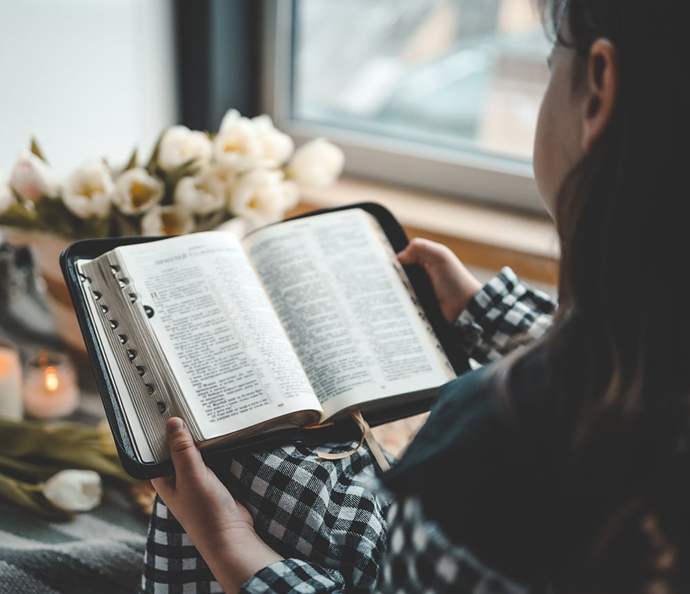 A person is quietly reading a book by a window, surrounded by the warmth of white flowers and a softly flickering candle, reflecting the peaceful spirit of campus ministry.